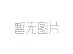 <b>圣阳蓄电池携手并进 共赢春天</b>
